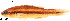  ( - stri-7099)  @14 [ ] Unspecified (default): All Rights Reserved  Unspecified Unspecified