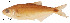  ( - stri-7407)  @14 [ ] Unspecified (default): All Rights Reserved  Unspecified Unspecified