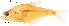  ( - stri-9141)  @14 [ ] Unspecified (default): All Rights Reserved  Unspecified Unspecified