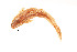  ( - AM-79)  @11 [ ] Unspecified (default): All Rights Reserved  Unspecified Unspecified