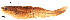  ( - AM-79)  @11 [ ] Unspecified (default): All Rights Reserved  Unspecified Unspecified