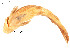  ( - AM-79)  @11 [ ] Unspecified (default): All Rights Reserved  Unspecified Unspecified