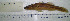  ( - stri-1750)  @13 [ ] Unspecified (default): All Rights Reserved  Unspecified Unspecified