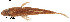  ( - stri-14681)  @14 [ ] Unspecified (default): All Rights Reserved  Unspecified Unspecified