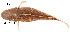  ( - stri-14688)  @13 [ ] Unspecified (default): All Rights Reserved  Unspecified Unspecified