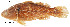  ( - stri-14688)  @12 [ ] Unspecified (default): All Rights Reserved  Unspecified Unspecified