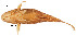  ( - stri-14688)  @12 [ ] Unspecified (default): All Rights Reserved  Unspecified Unspecified