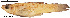  ( - stri-14692)  @11 [ ] Unspecified (default): All Rights Reserved  Unspecified Unspecified