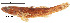  ( - stri-14739)  @14 [ ] Unspecified (default): All Rights Reserved  Unspecified Unspecified