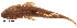  ( - stri-14865)  @14 [ ] Unspecified (default): All Rights Reserved  Unspecified Unspecified
