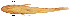  ( - stri-2045)  @14 [ ] Unspecified (default): All Rights Reserved  Unspecified Unspecified