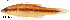  ( - stri-2047)  @13 [ ] Unspecified (default): All Rights Reserved  Unspecified Unspecified