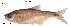  ( - stri-2079)  @15 [ ] Unspecified (default): All Rights Reserved  Unspecified Unspecified