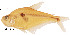  ( - stri-2083)  @11 [ ] Unspecified (default): All Rights Reserved  Unspecified Unspecified