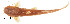  ( - stri-2161)  @14 [ ] Unspecified (default): All Rights Reserved  Unspecified Unspecified