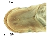  ( - stri-1528)  @11 [ ] Unspecified (default): All Rights Reserved  Unspecified Unspecified
