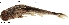  ( - stri-1529)  @11 [ ] Unspecified (default): All Rights Reserved  Unspecified Unspecified