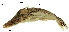  ( - stri-1529)  @11 [ ] Unspecified (default): All Rights Reserved  Unspecified Unspecified