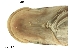  ( - stri-1529)  @11 [ ] Unspecified (default): All Rights Reserved  Unspecified Unspecified