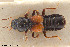  ( - BGE_00261_E06)  @11 [ ] Creative Commons  Attribution Non-Commercial Share-Alike (2024) NTNU University Museum, Department of Natural History NTNU University Museum, Department of Natural History