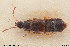  ( - BGE_00261_F11)  @11 [ ] Creative Commons  Attribution Non-Commercial Share-Alike (2024) NTNU University Museum, Department of Natural History NTNU University Museum, Department of Natural History