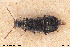  ( - BGE_00261_H01)  @11 [ ] Creative Commons  Attribution Non-Commercial Share-Alike (2024) NTNU University Museum, Department of Natural History NTNU University Museum, Department of Natural History