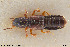  ( - BGE_00261_F09)  @11 [ ] Creative Commons  Attribution Non-Commercial Share-Alike (2024) NTNU University Museum, Department of Natural History NTNU University Museum, Department of Natural History