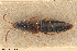  ( - BGE_00261_E08)  @11 [ ] Creative Commons  Attribution Non-Commercial Share-Alike (2024) NTNU University Museum, Department of Natural History NTNU University Museum, Department of Natural History