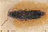  ( - BGE_00261_G09)  @11 [ ] Creative Commons  Attribution Non-Commercial Share-Alike (2024) NTNU University Museum, Department of Natural History NTNU University Museum, Department of Natural History