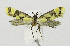  ( - BGE_00240_B08)  @11 [ ] Creative Commons  Attribution Non-Commercial Share-Alike (2024) Kai Berggren NTNU University Museum, Department of Natural History