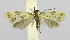  ( - BGE_00240_B11)  @11 [ ] Creative Commons  Attribution Non-Commercial Share-Alike (2024) Kai Berggren NTNU University Museum, Department of Natural History