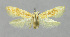  ( - BGE_00240_D08)  @11 [ ] Creative Commons  Attribution Non-Commercial Share-Alike (2024) Kai Berggren NTNU University Museum, Department of Natural History