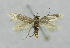  ( - BGE_00240_D12)  @11 [ ] Creative Commons  Attribution Non-Commercial Share-Alike (2024) Kai Berggren NTNU University Museum, Department of Natural History