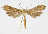  ( - BGE_00240_E04)  @11 [ ] Creative Commons  Attribution Non-Commercial Share-Alike (2024) Kai Berggren NTNU University Museum, Department of Natural History