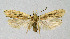  ( - BGE_00222_A08)  @11 [ ] Creative Commons  Attribution Non-Commercial Share-Alike (2023) Kai Berggren NTNU University Museum, Department of Natural History