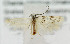  ( - BGE_00241_B05)  @11 [ ] Creative Commons  Attribution Non-Commercial Share-Alike (2024) Kai Berggren NTNU University Museum, Department of Natural History