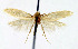  ( - BGE_00241_G09)  @11 [ ] Creative Commons  Attribution Non-Commercial Share-Alike (2024) Kai Berggren NTNU University Museum, Department of Natural History