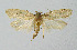  ( - BGE_00221_A02)  @11 [ ] Creative Commons  Attribution Non-Commercial Share-Alike (2023) Kai Berggren NTNU University Museum, Department of Natural History