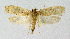  ( - BGE_00221_A03)  @11 [ ] Creative Commons  Attribution Non-Commercial Share-Alike (2023) Kai Berggren NTNU University Museum, Department of Natural History