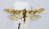  ( - BGE_00221_H08)  @11 [ ] Creative Commons  Attribution Non-Commercial Share-Alike (2023) Kai Berggren NTNU University Museum, Department of Natural History