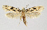  ( - BGE_00222_C02)  @11 [ ] Creative Commons  Attribution Non-Commercial Share-Alike (2023) Kai Berggren NTNU University Museum, Department of Natural History