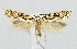  ( - BGE_00222_C03)  @11 [ ] Creative Commons  Attribution Non-Commercial Share-Alike (2023) Kai Berggren NTNU University Museum, Department of Natural History