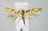  ( - BGE_00222_C05)  @11 [ ] Creative Commons  Attribution Non-Commercial Share-Alike (2023) Kai Berggren NTNU University Museum, Department of Natural History
