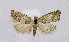  ( - BGE_00222_F01)  @11 [ ] Creative Commons  Attribution Non-Commercial Share-Alike (2023) Kai Berggren NTNU University Museum, Department of Natural History