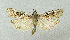 ( - BGE_00223_C04)  @11 [ ] Creative Commons  Attribution Non-Commercial Share-Alike (2023) Kai Berggren NTNU University Museum, Department of Natural History