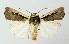  ( - BGE_00224_D01)  @11 [ ] Creative Commons  Attribution Non-Commercial Share-Alike (2023) Kai Berggren NTNU University Museum, Department of Natural History