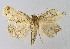  ( - BGE_00224_G02)  @11 [ ] Creative Commons  Attribution Non-Commercial Share-Alike (2023) Kai Berggren NTNU University Museum, Department of Natural History
