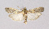  ( - BGE_00225_A01)  @11 [ ] Creative Commons  Attribution Non-Commercial Share-Alike (2023) Kai Berggren NTNU University Museum, Department of Natural History