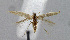  ( - BGE_00225_D12)  @11 [ ] Creative Commons  Attribution Non-Commercial Share-Alike (2023) Kai Berggren NTNU University Museum, Department of Natural History