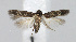  ( - BGE_00225_E03)  @11 [ ] Creative Commons  Attribution Non-Commercial Share-Alike (2023) Kai Berggren NTNU University Museum, Department of Natural History